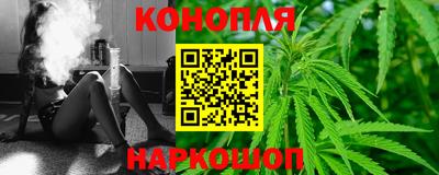 прущие грибы Краснодар