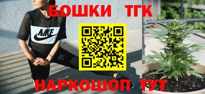 прущие грибы Краснодар