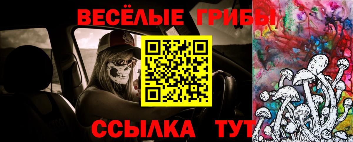 Псилоцибиновые грибы Magic Shrooms  Вход с VPN  Елизово  Псилоцибиновые грибы мицелий 